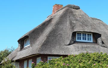 thatch roofing Burridge