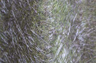 Burridge fibreglass roof work